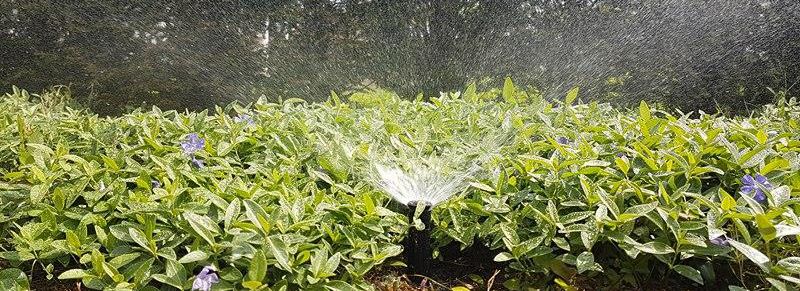 Beregnungsanlagen Heizung Sanitar Solar Bedachung Hubert Plenter Aus Munster